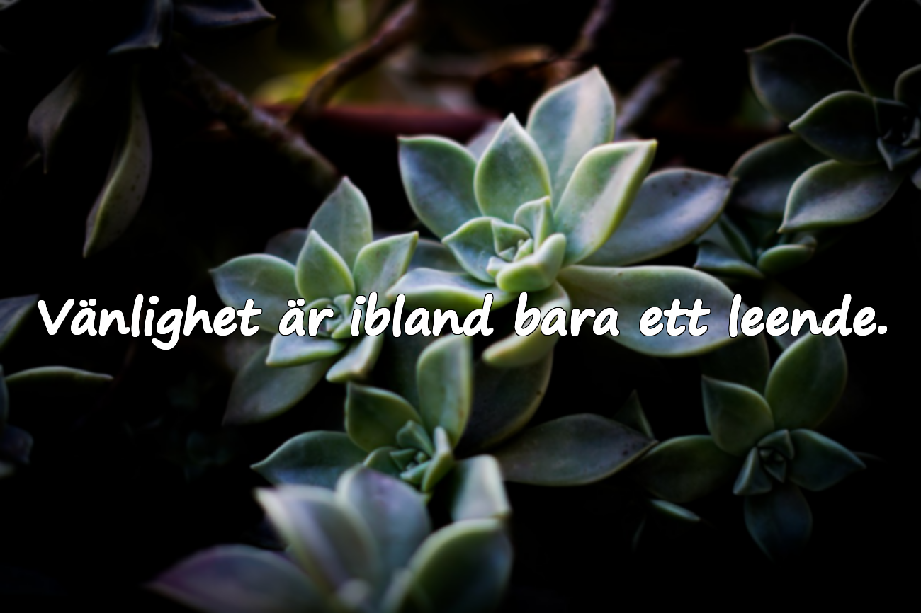 Ord om vänlighet