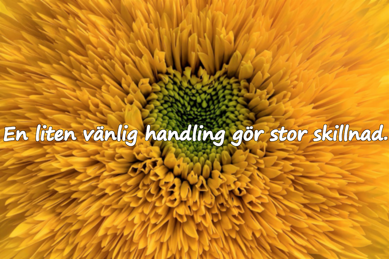 Ord om vänlighet