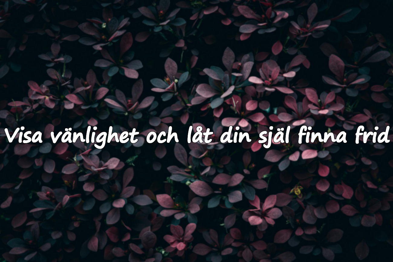Ord om vänlighet