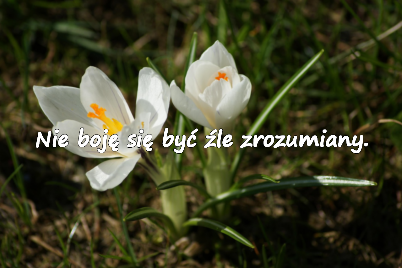 Ostre Słowa