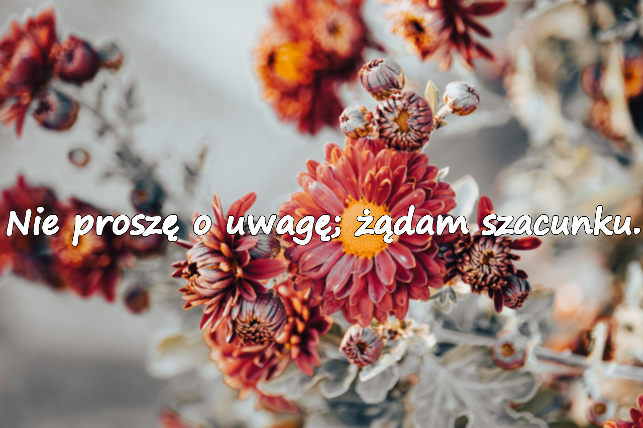 Ostre Słowa
