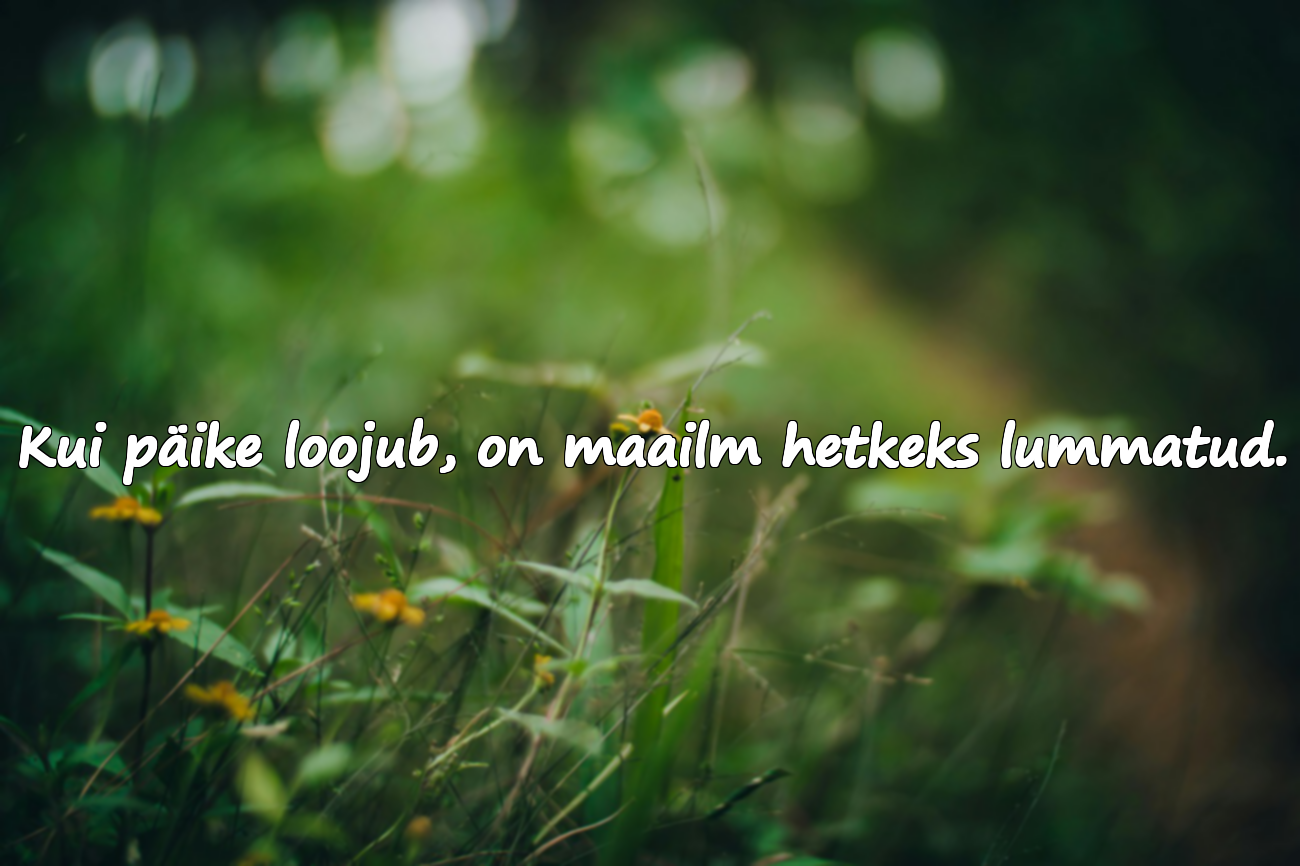 Päikeseloojanguga seotud mõtted