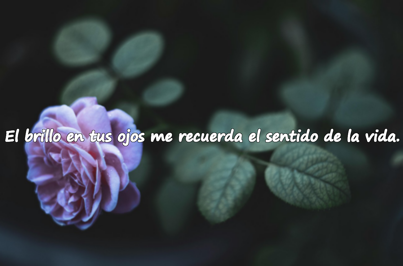 El brillo en tus ojos me recuerda el sentido de la vida.