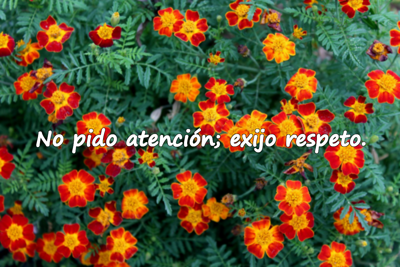 Palabras Hirientes