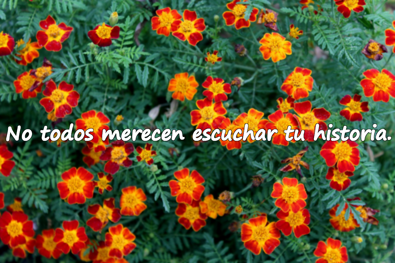 Palabras Hirientes