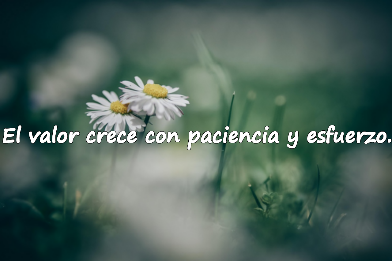 El valor crece con paciencia y esfuerzo.