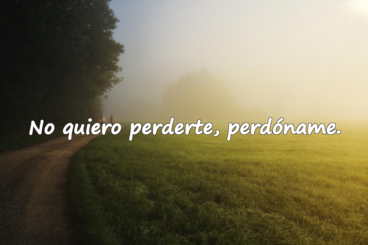 Palabras de perdón para mi amor