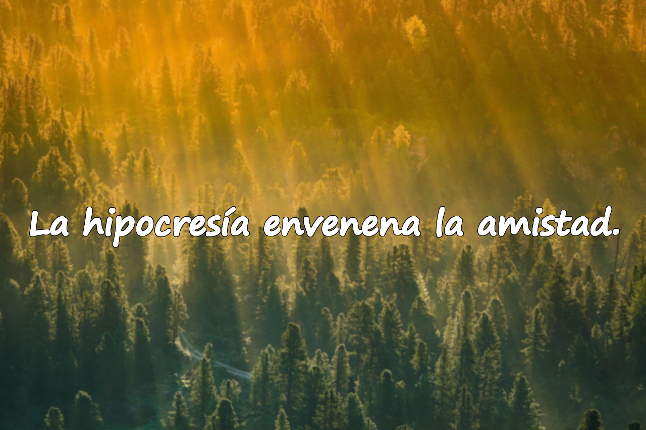 La hipocresía envenena la amistad.