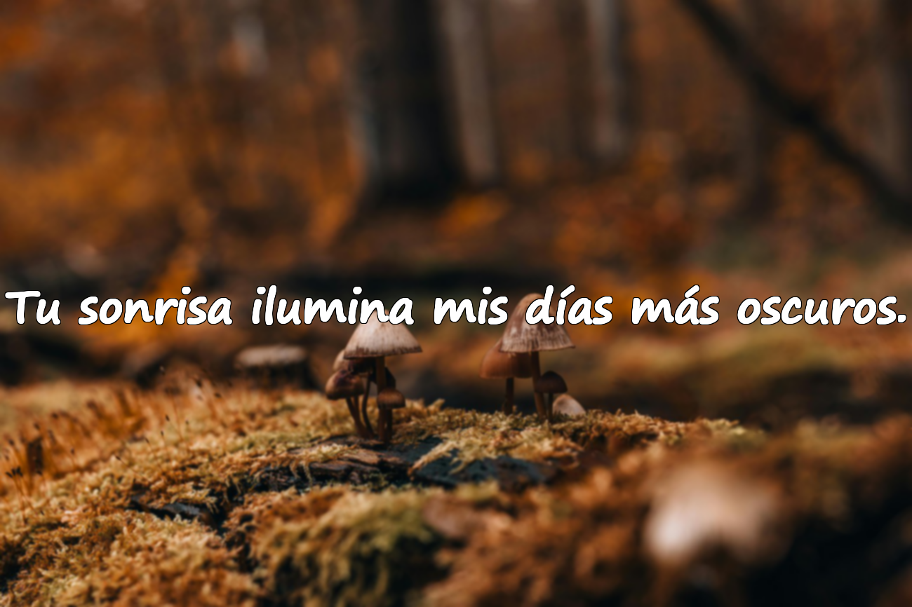 Tu sonrisa ilumina mis días más oscuros.