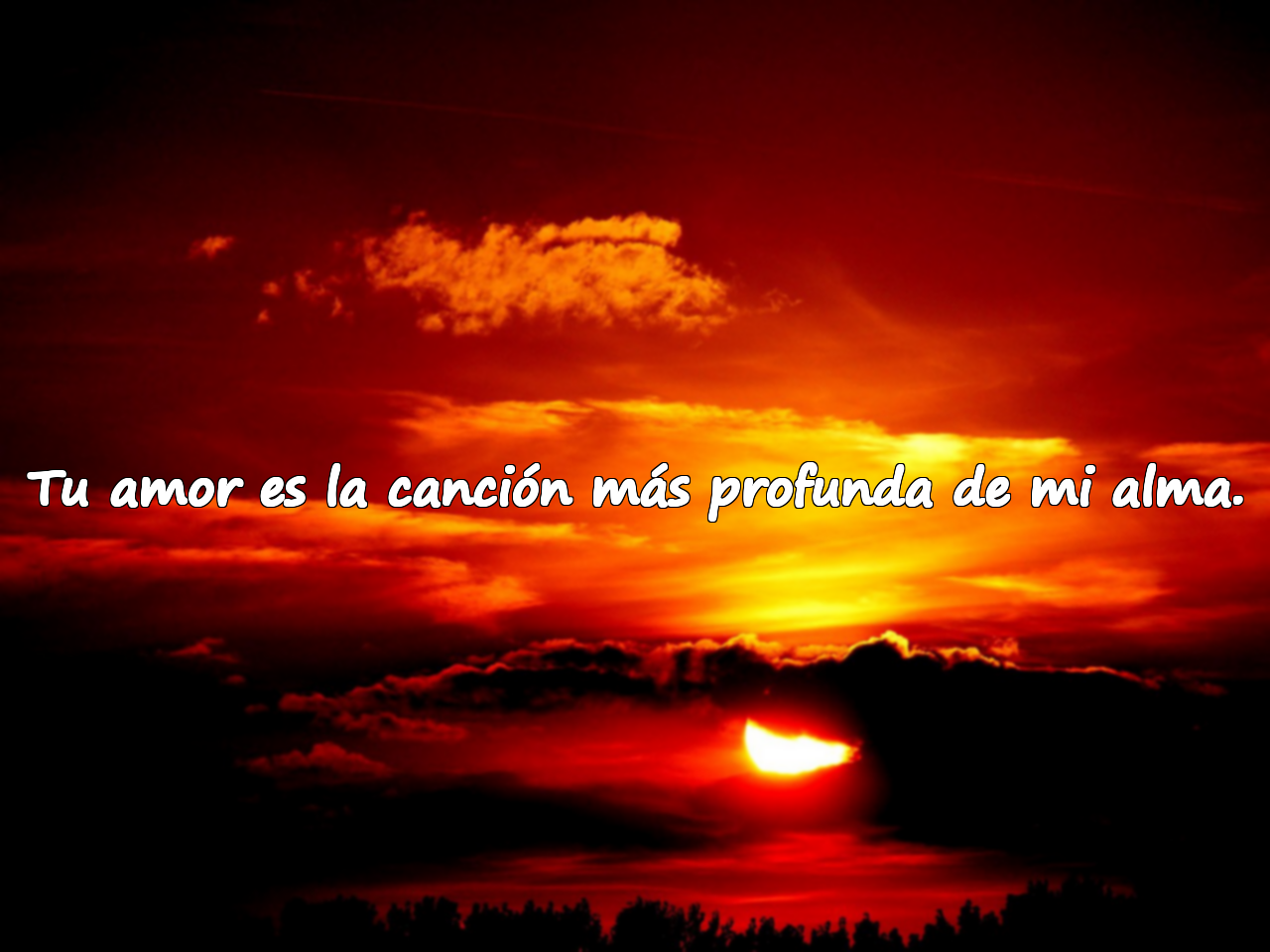 Tu amor es la canción más profunda de mi alma.