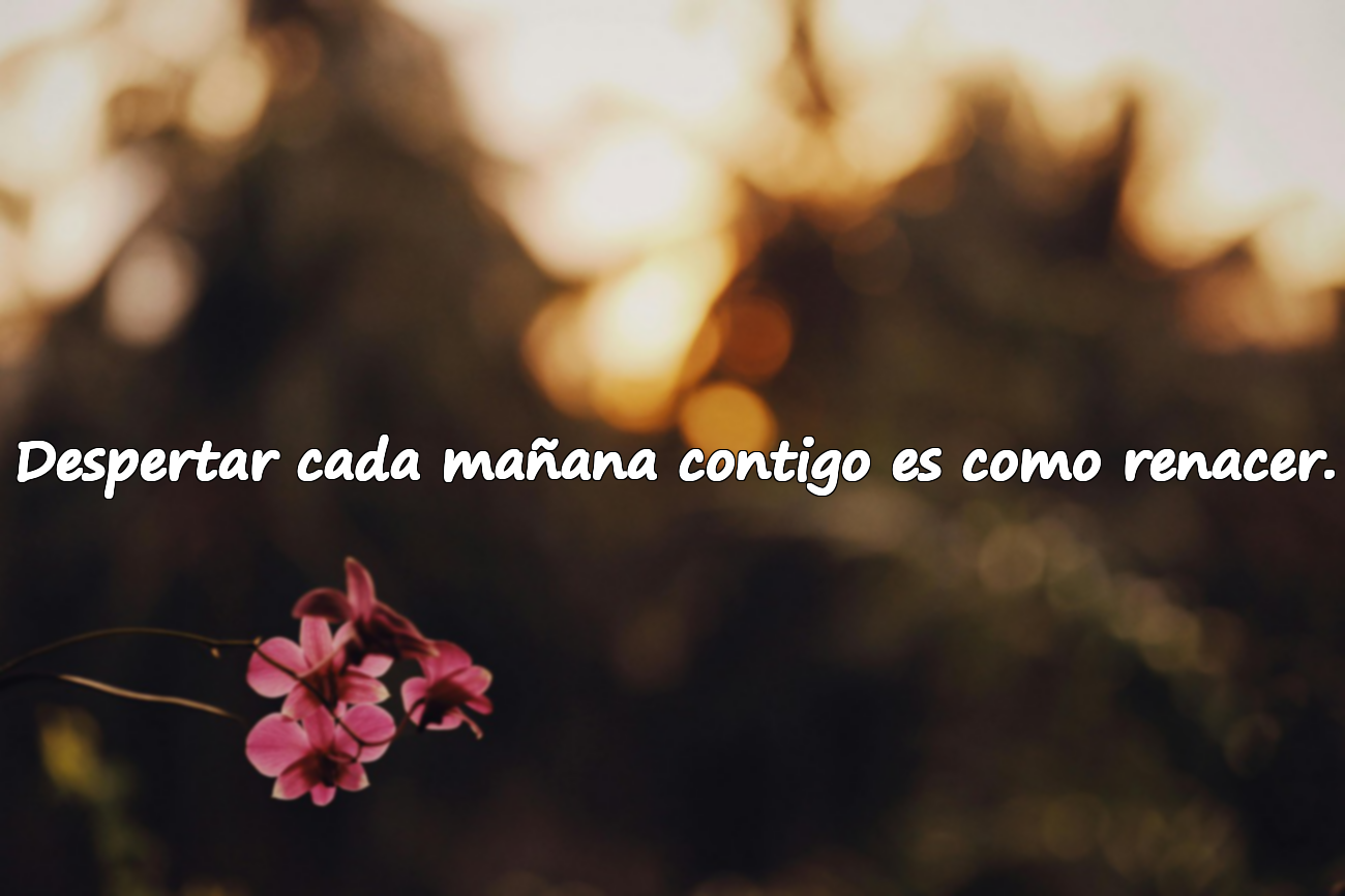Despertar cada mañana contigo es como renacer.