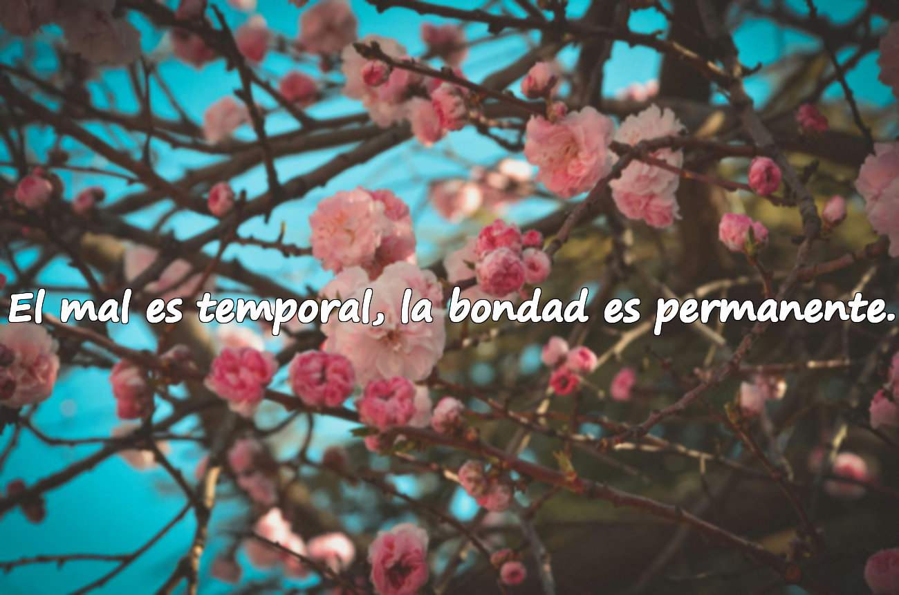 Palabras para Personas Malas