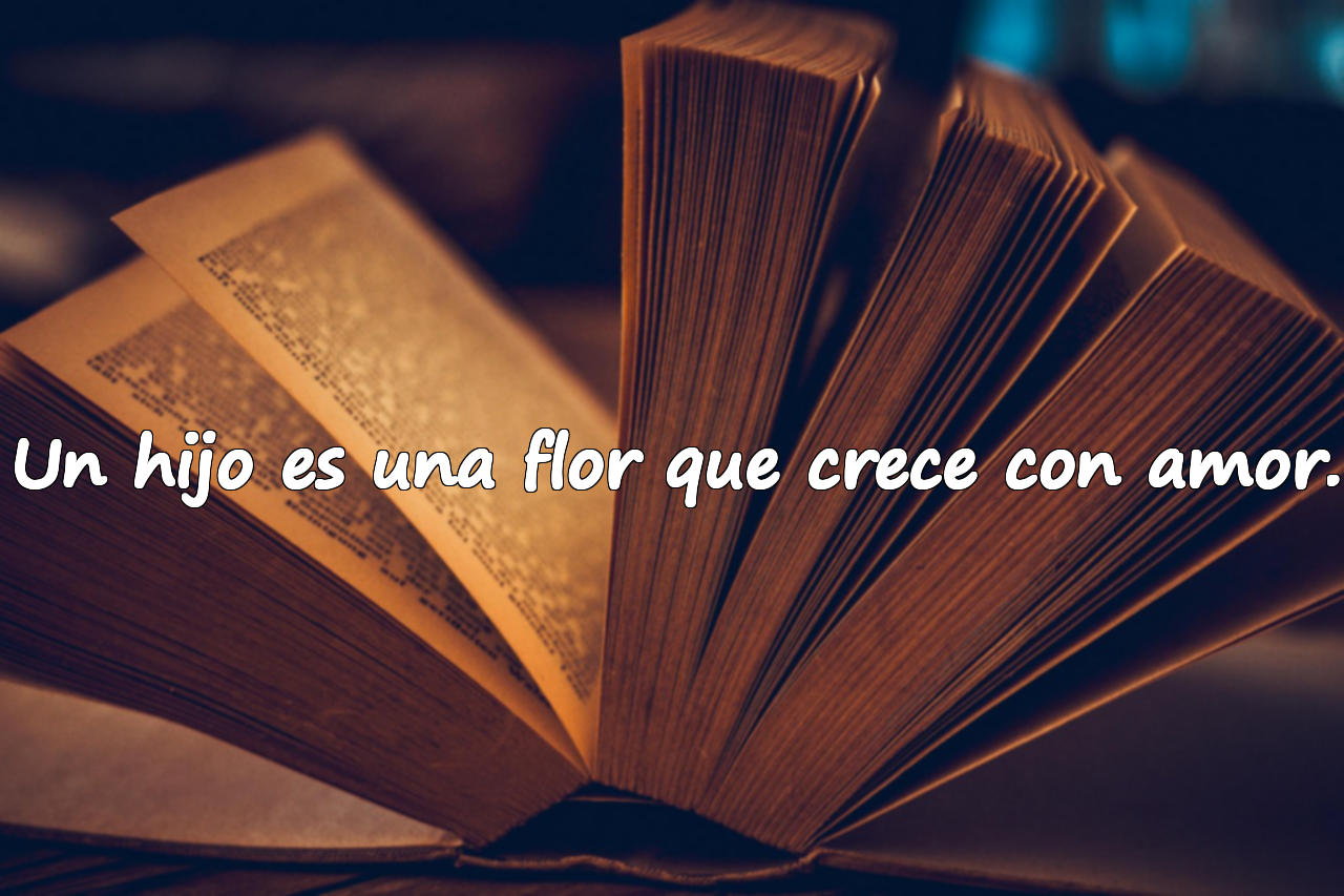 Un hijo es una flor que crece con amor.