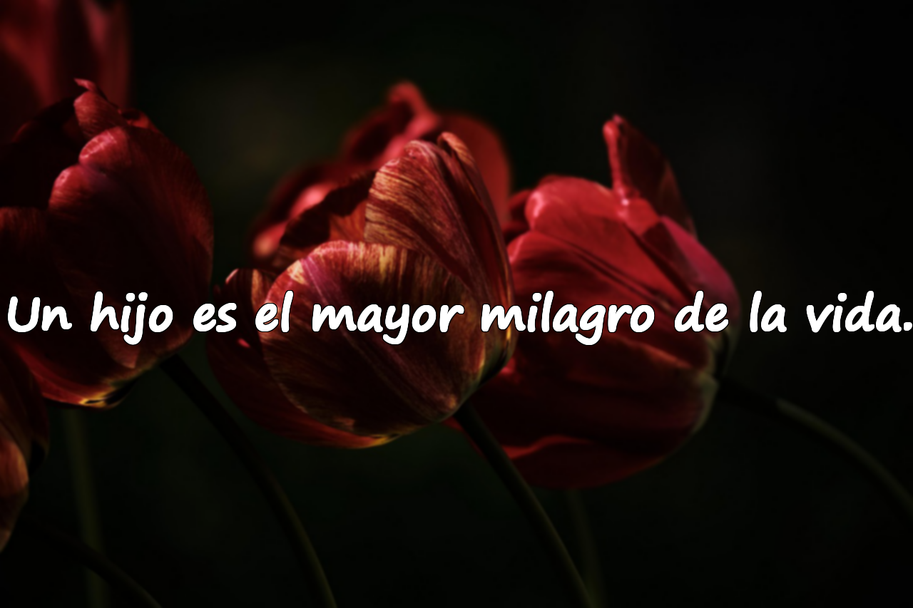 Palabras sobre el amor hacia los hijos