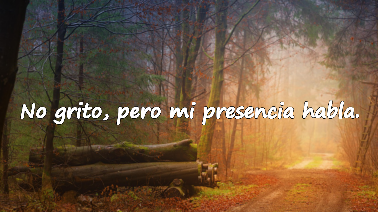 Palabras sobre el carácter