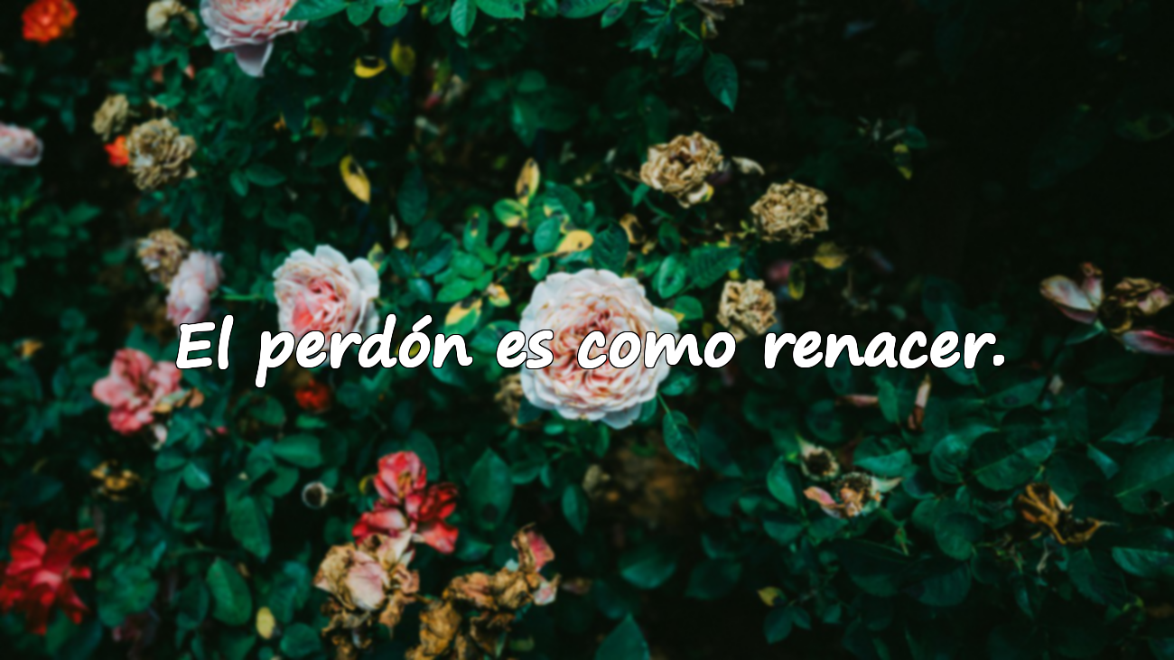 Palabras sobre el perdón