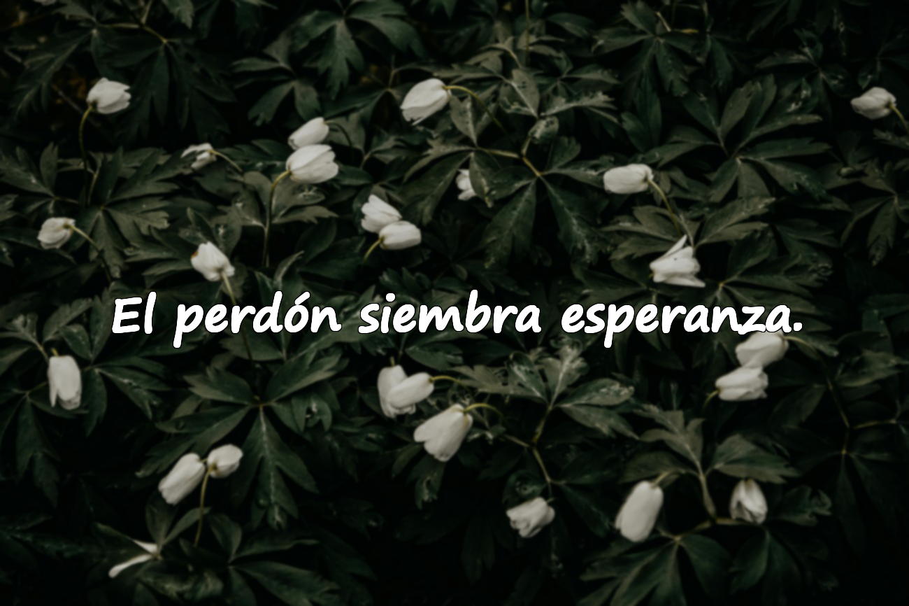 Palabras sobre el perdón
