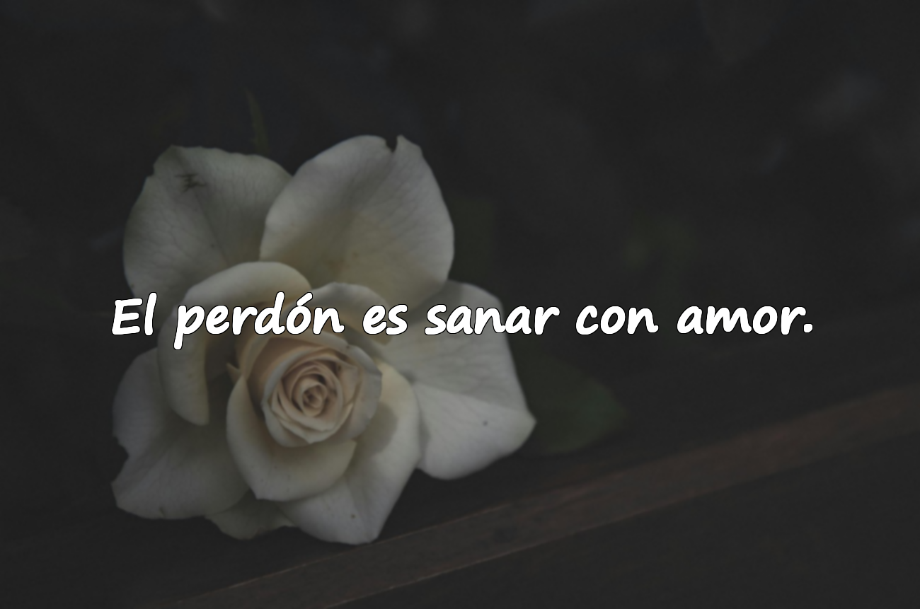 Palabras sobre el perdón