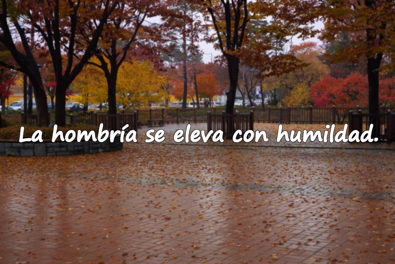 Palabras sobre la hombría / integridad