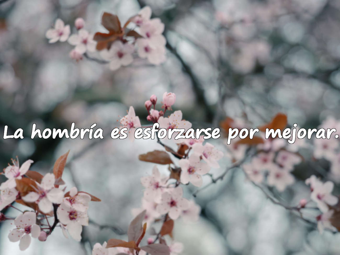 Palabras sobre la hombría / integridad