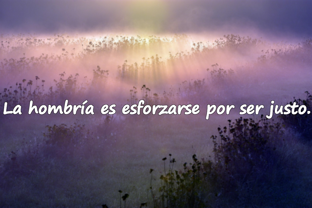Palabras sobre la hombría / integridad