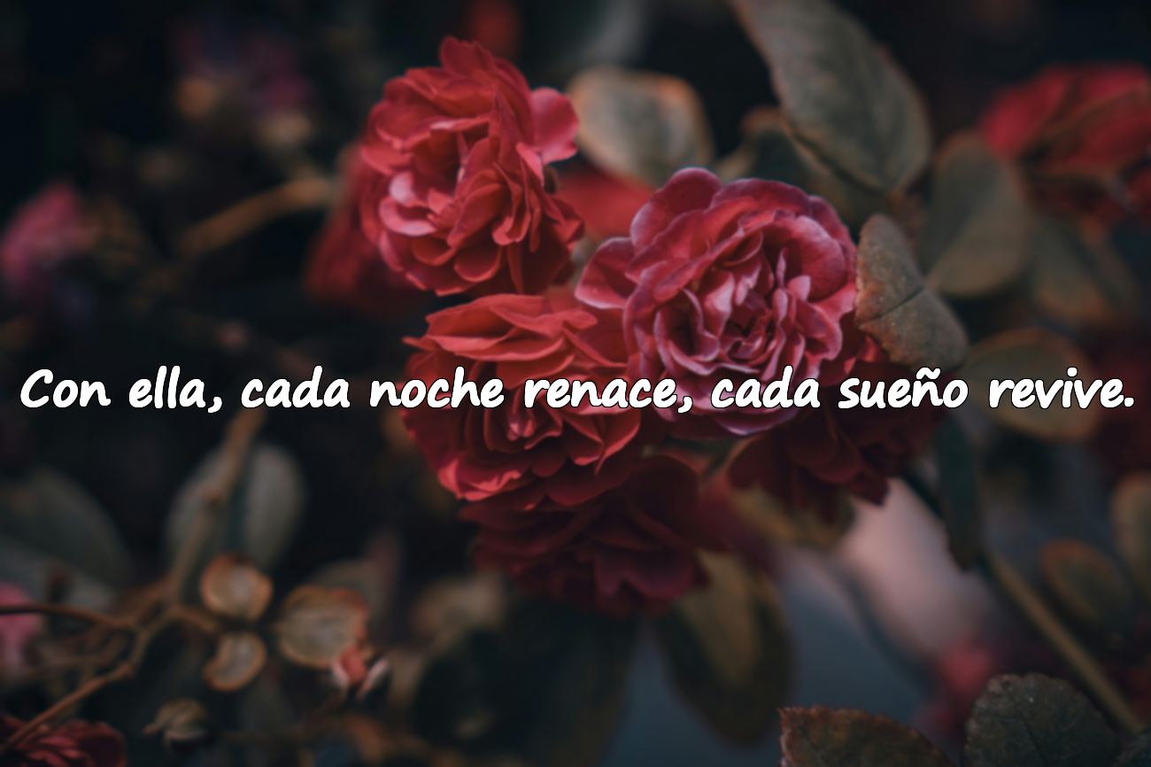 Con ella, cada noche renace, cada sueño revive.