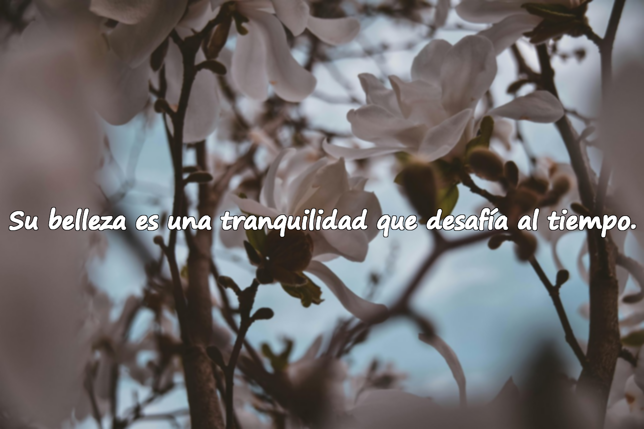 Su belleza es una tranquilidad que desafía al tiempo.