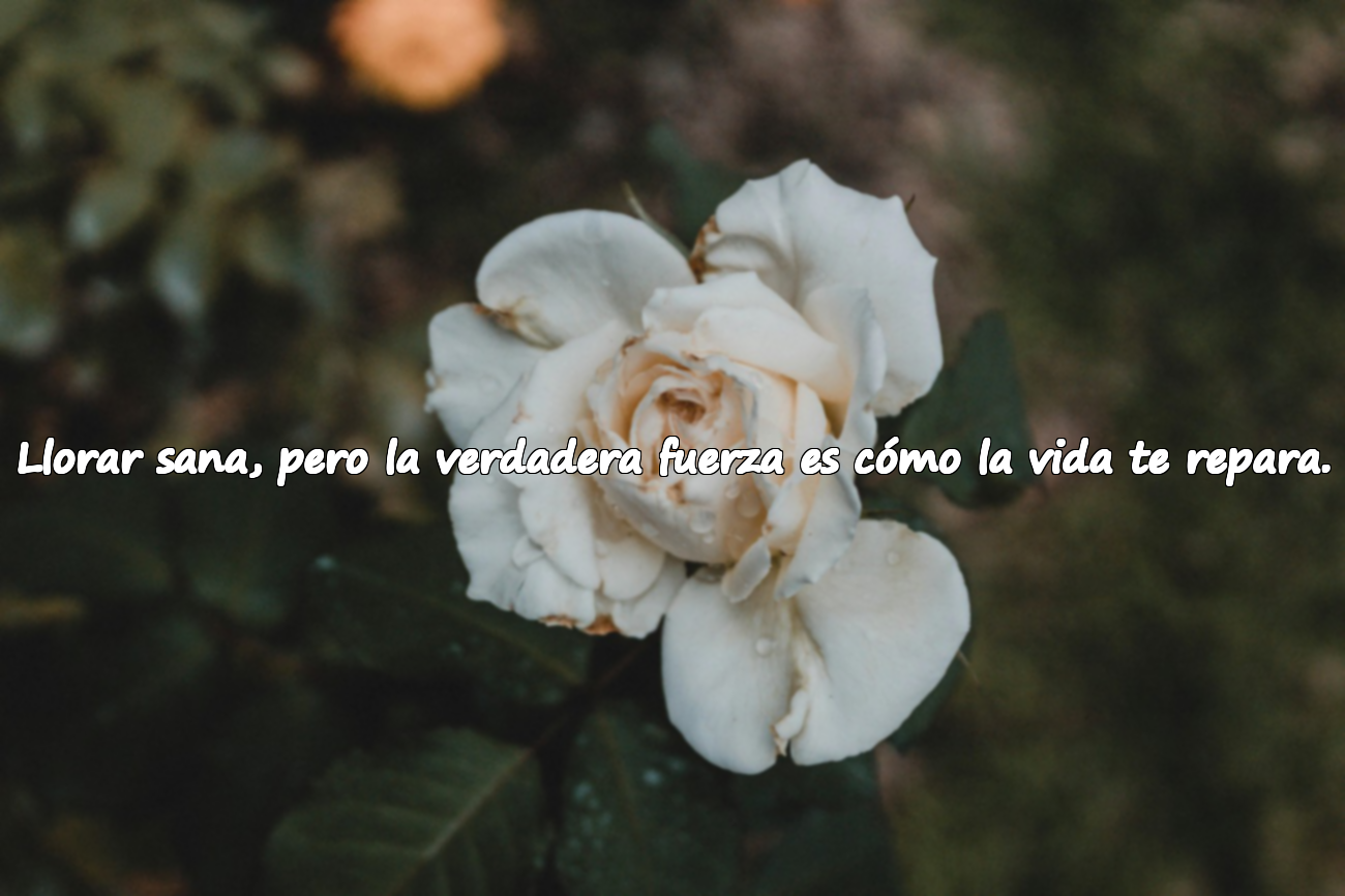 Palabras sobre llorar y la fuerza
