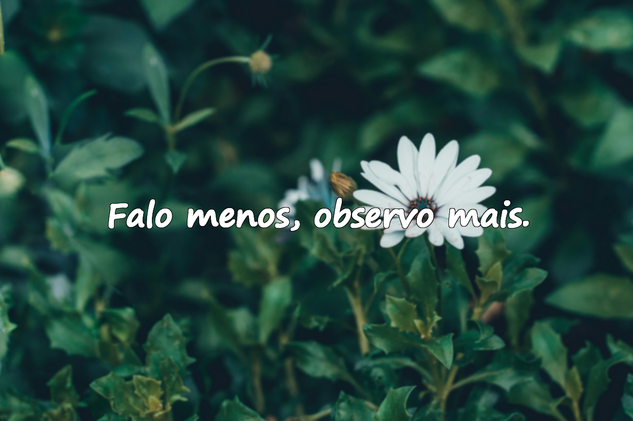 Palavras Afiadas