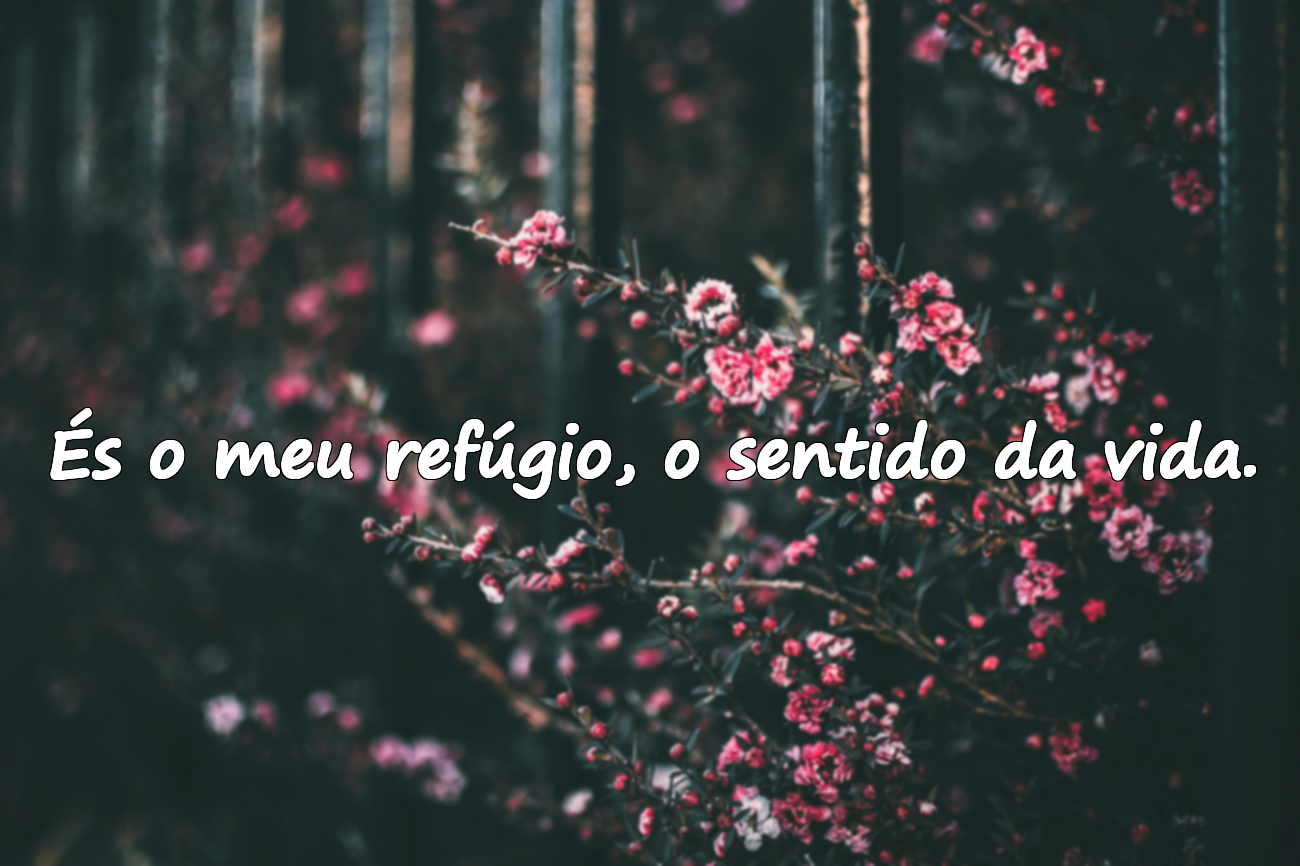 És o meu refúgio, o sentido da vida.