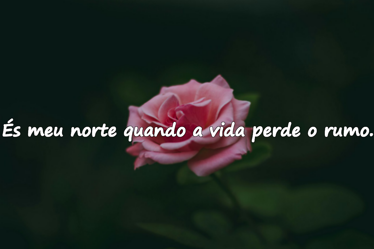 Palavras de Amor com Significado