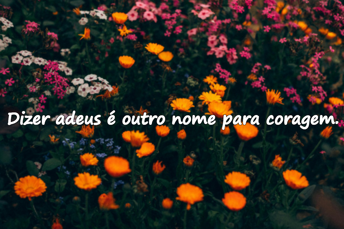 Dizer adeus é outro nome para coragem.