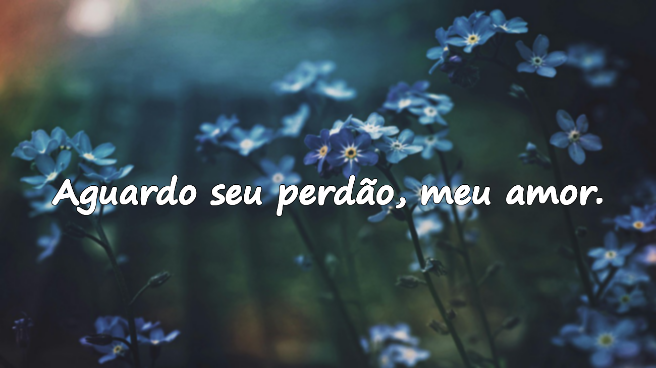 Palavras de perdão para o meu amor