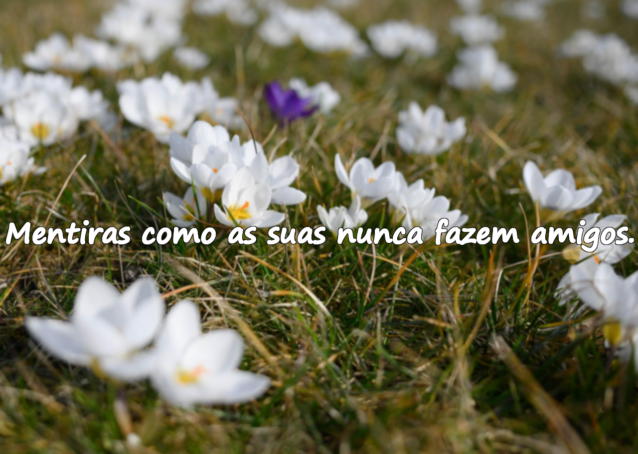 Mentiras como as suas nunca fazem amigos.