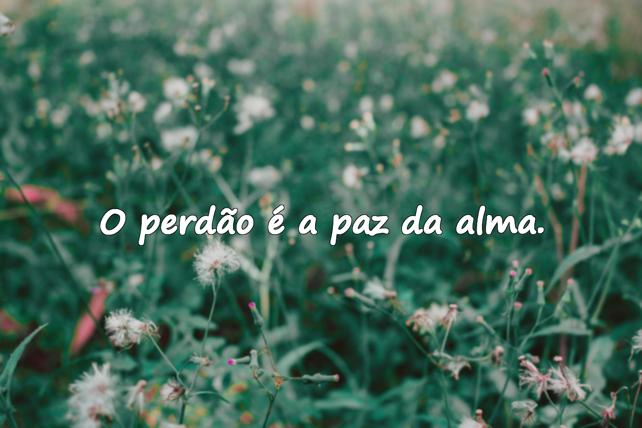 Palavras significativas e emocionais sobre o perdão