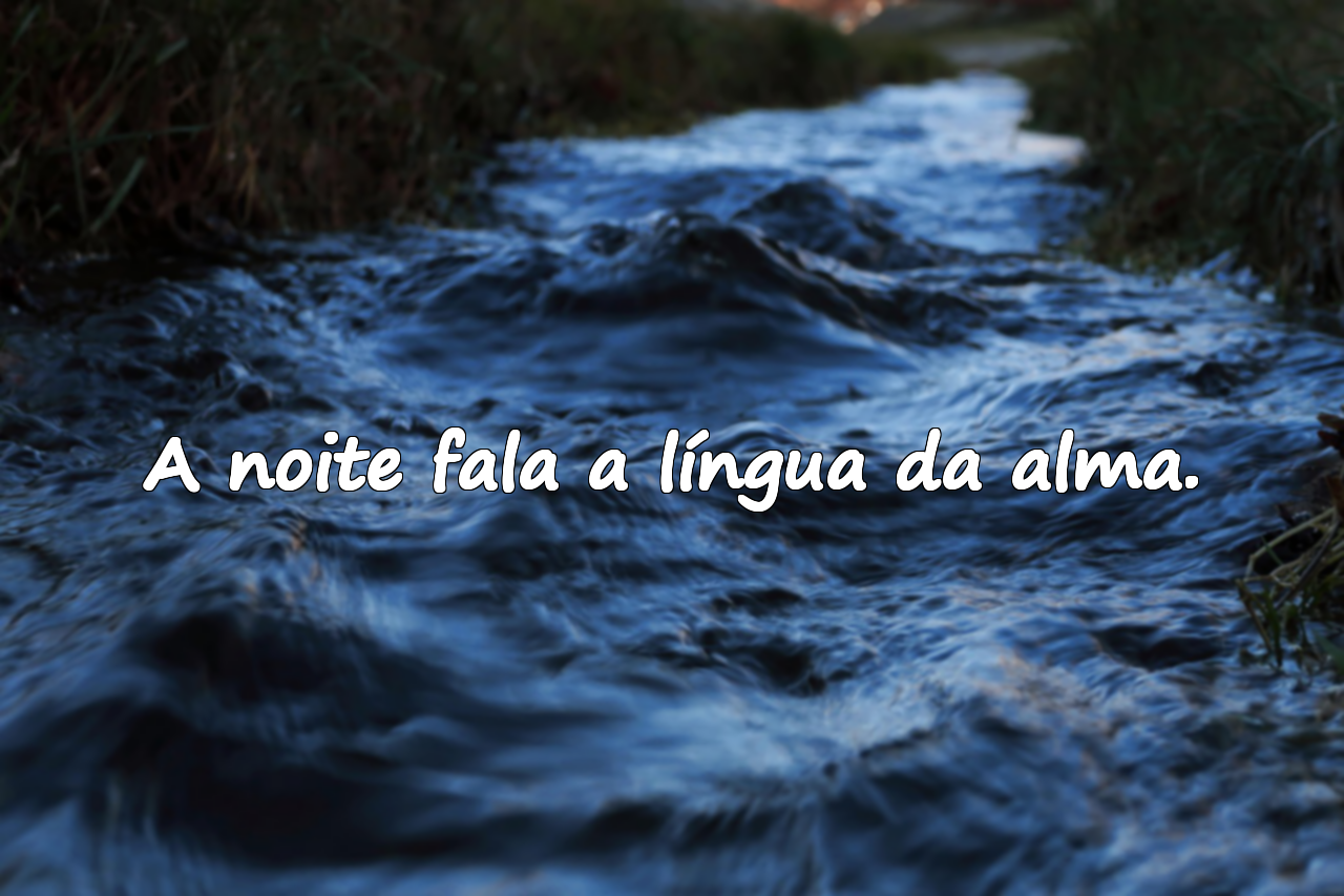 Palavras sobre a noite