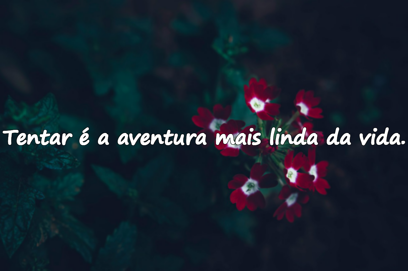 Palavras sobre arrependimento