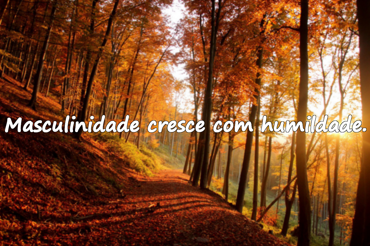 Palavras sobre masculinidade / integridade