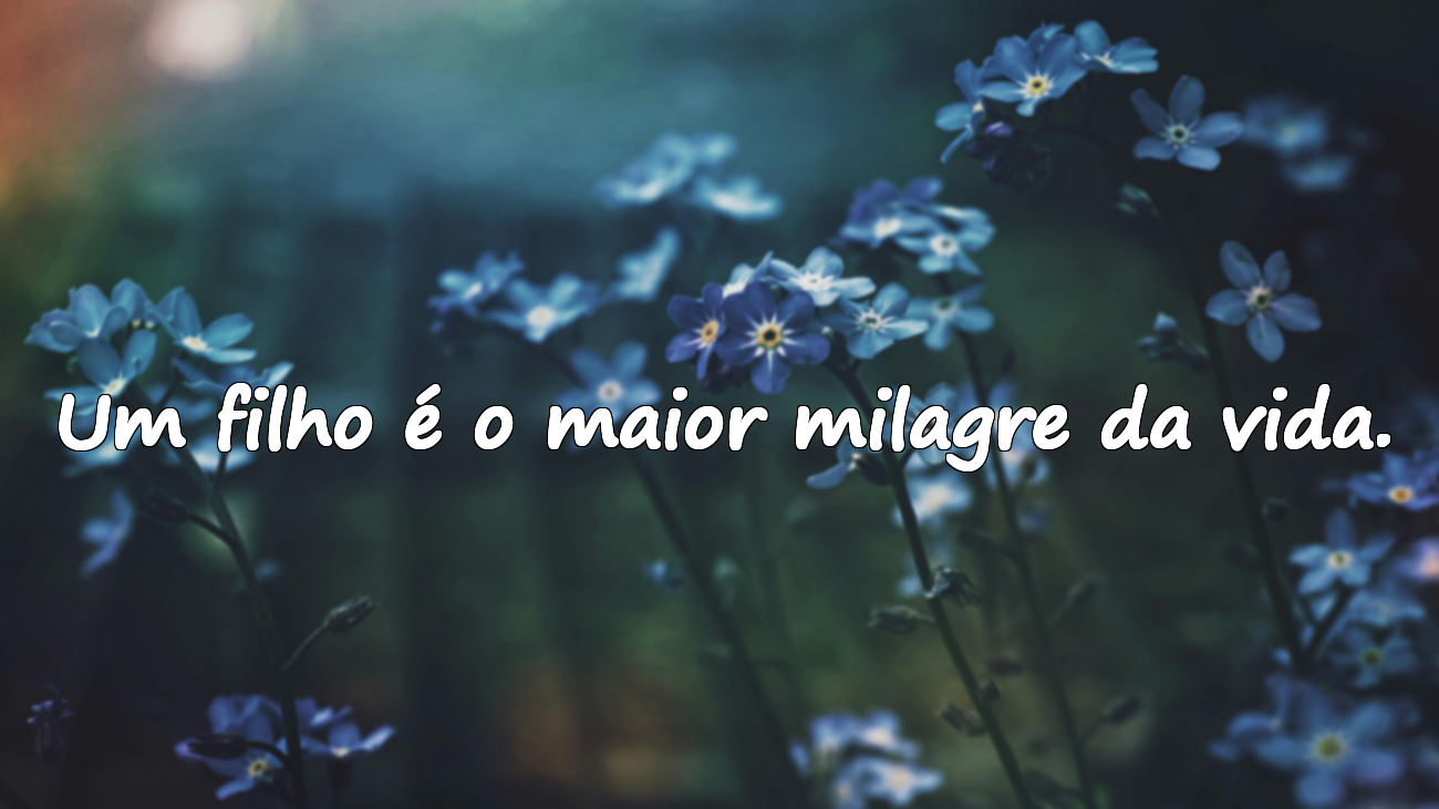 Palavras sobre o amor pelos filhos