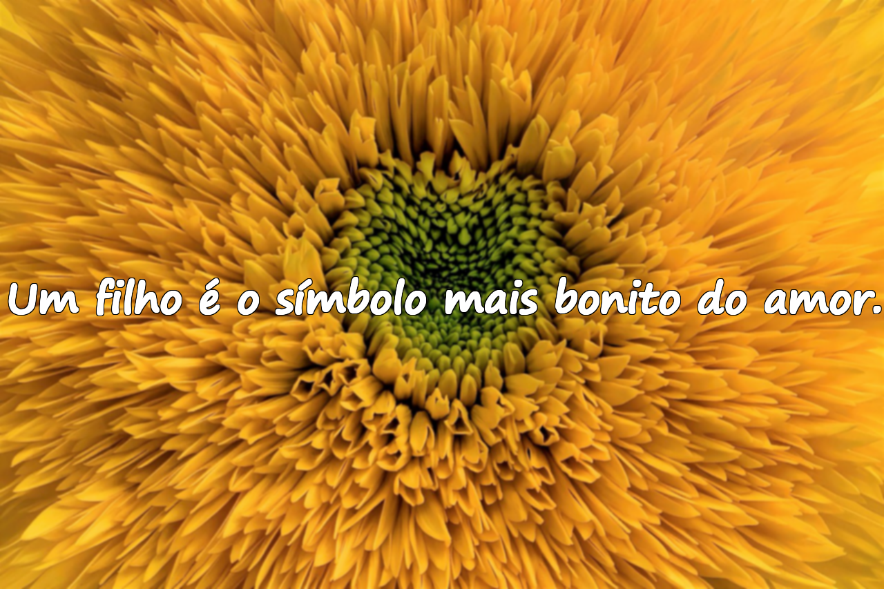 Palavras sobre o amor pelos filhos