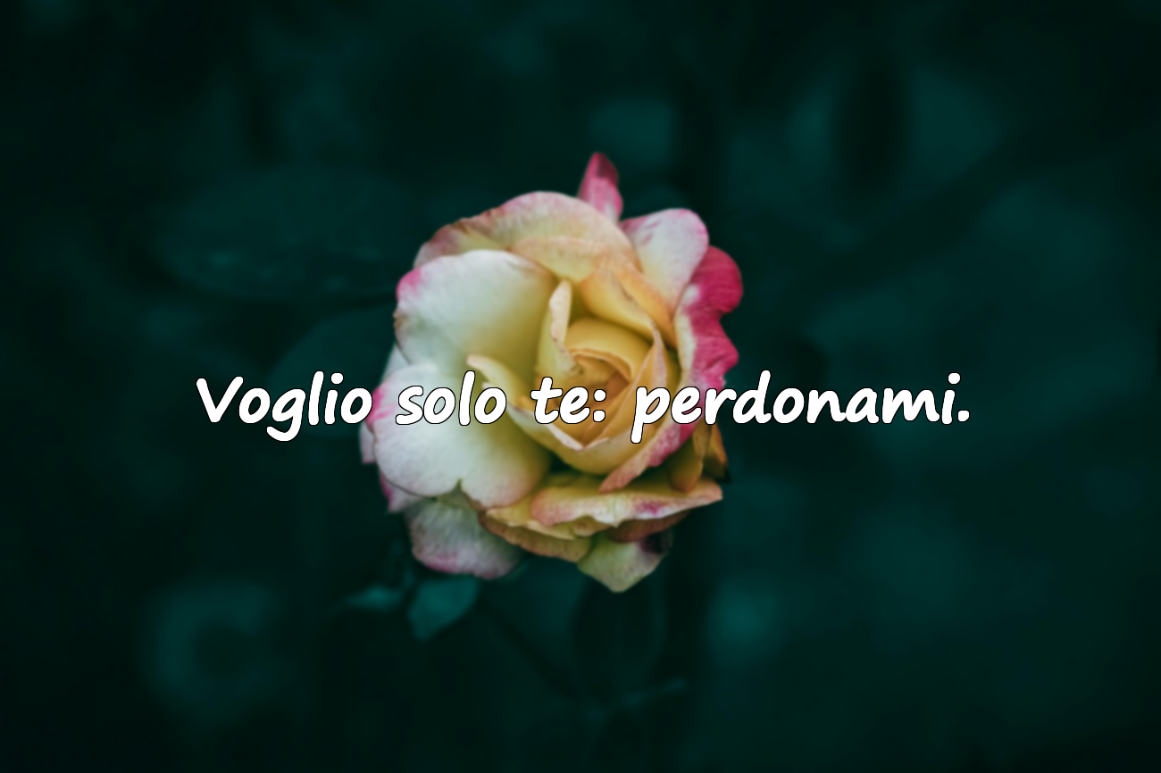 Parole di perdono per il mio amore