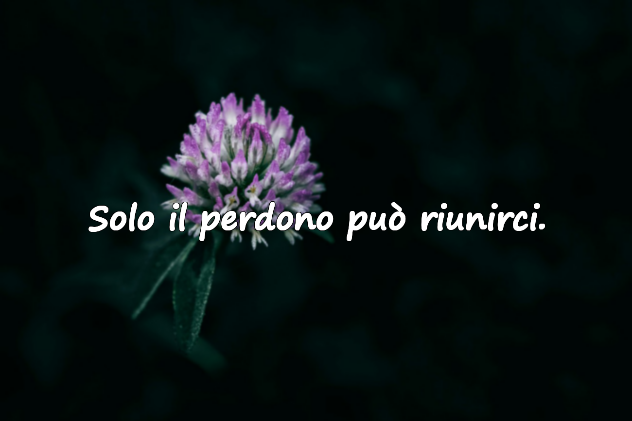 Parole di perdono per il mio amore