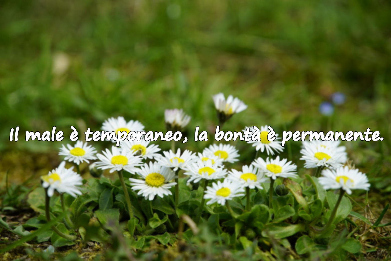Parole per Persone Cattive