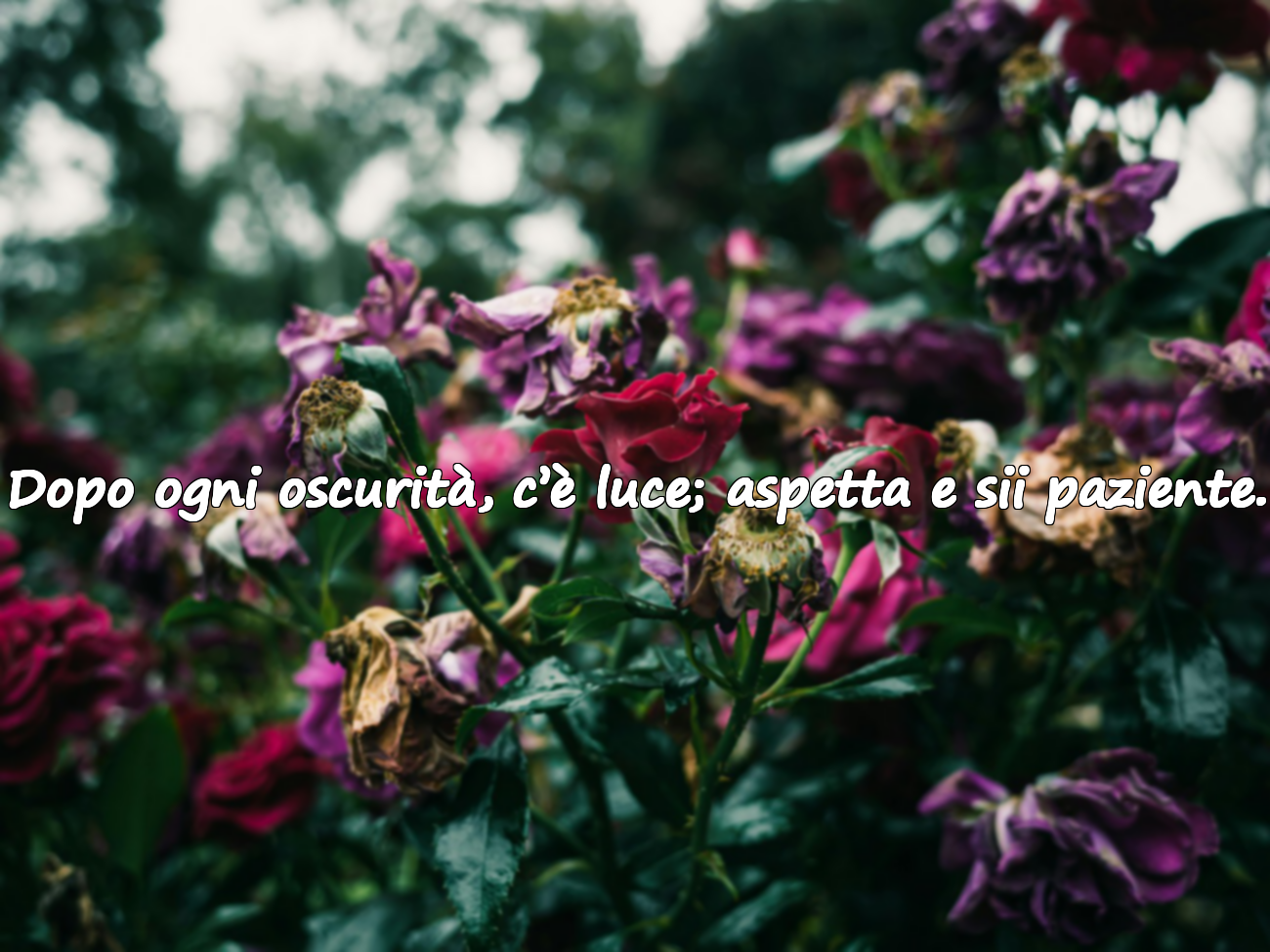 Dopo ogni oscurità, c’è luce; aspetta e sii paziente.