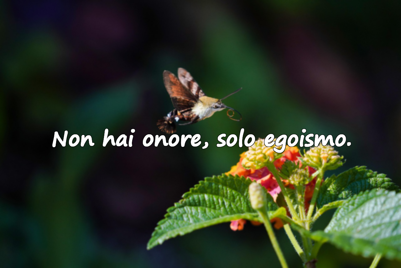 Non hai onore, solo egoismo.