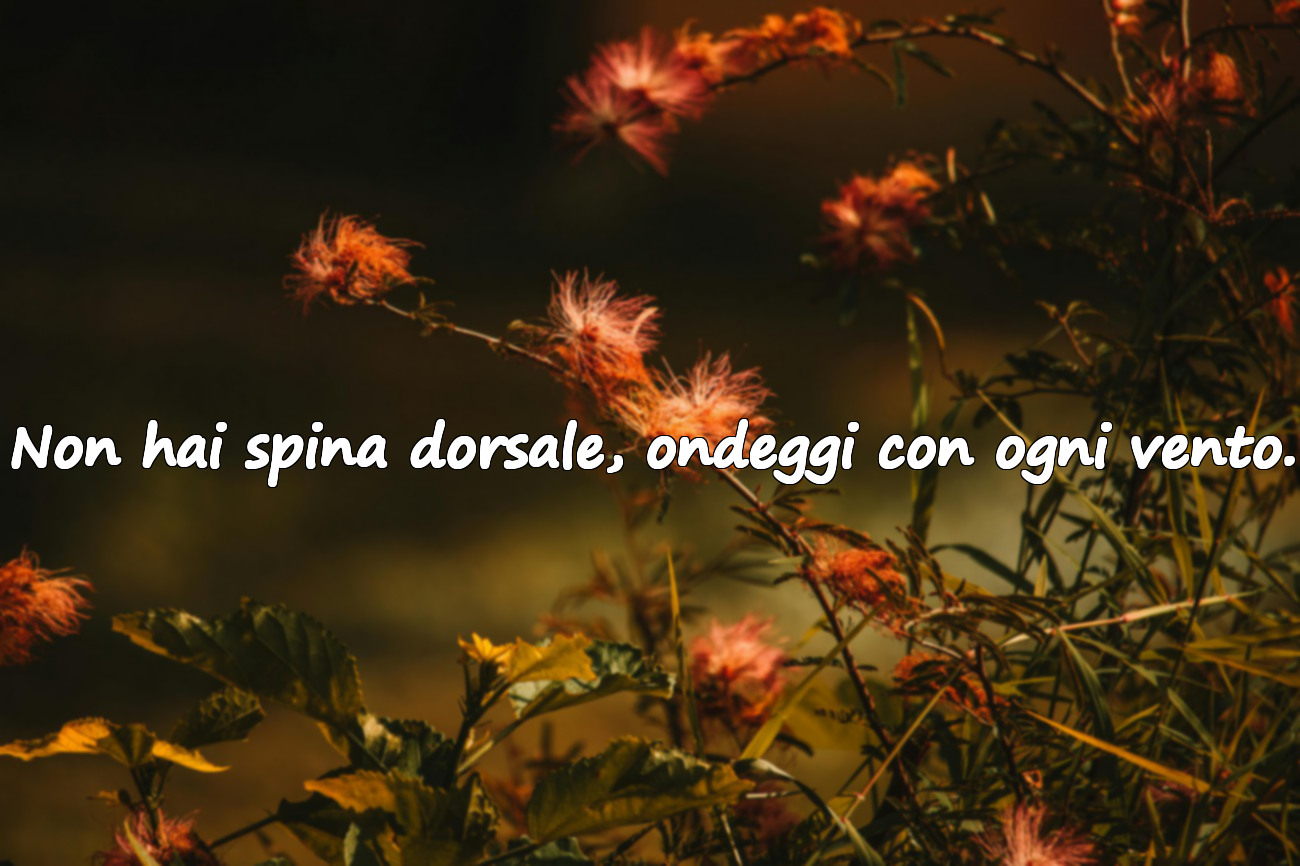 Non hai spina dorsale, ondeggi con ogni vento.