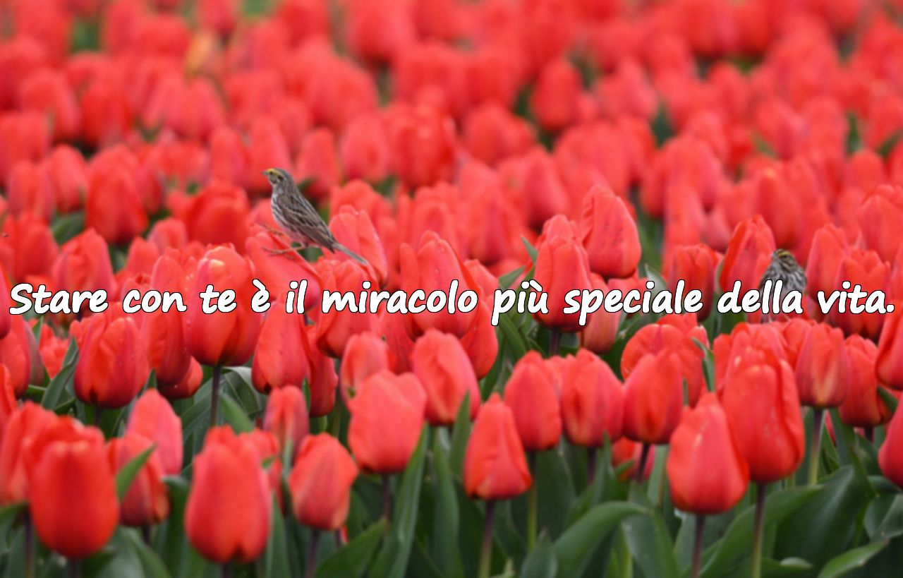 Parole significative e belle per coniugi