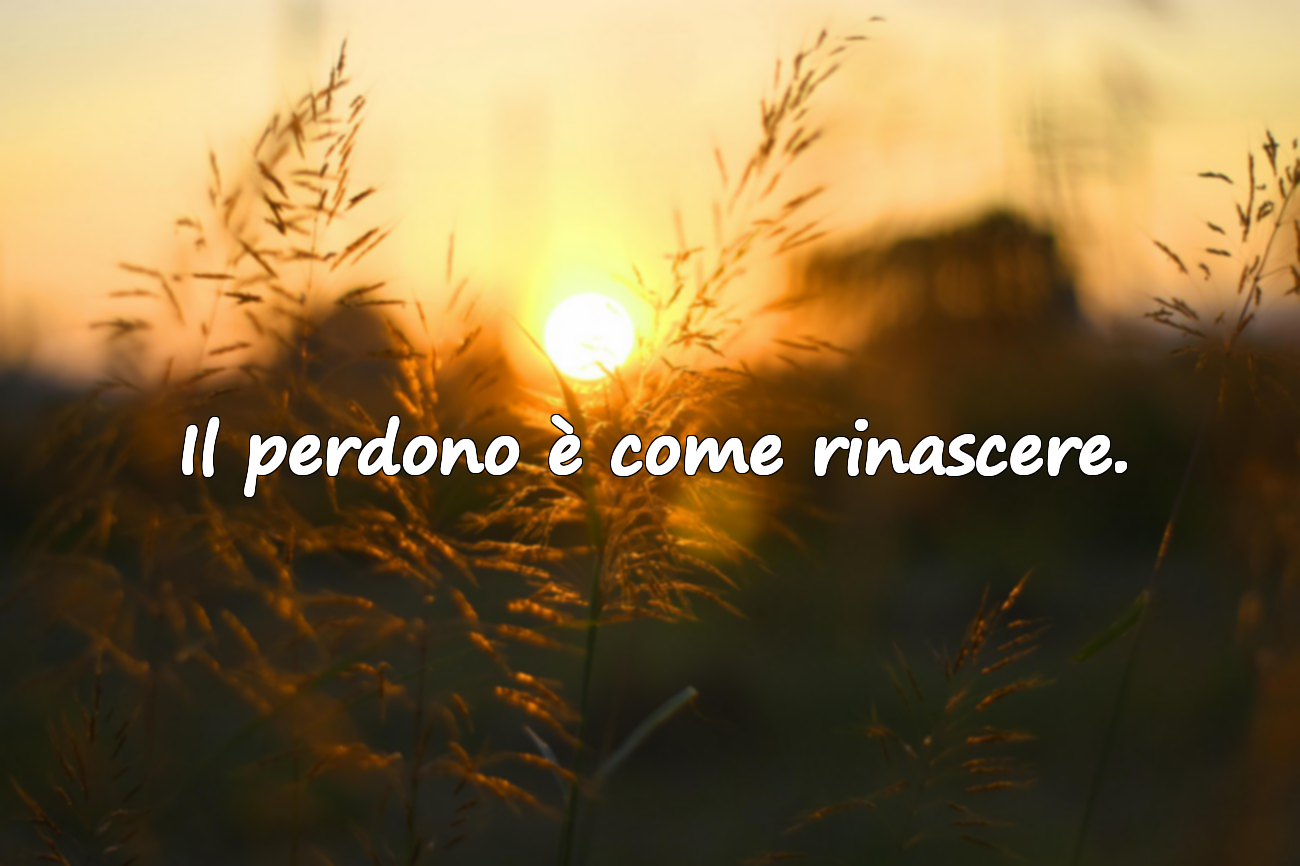 Parole significative ed emotive sul perdono