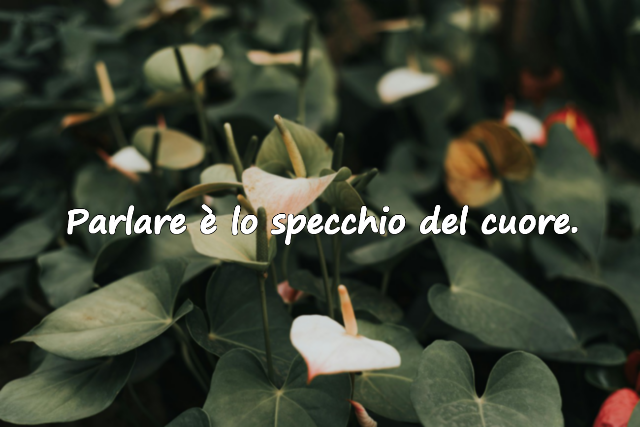 Parlare è lo specchio del cuore.