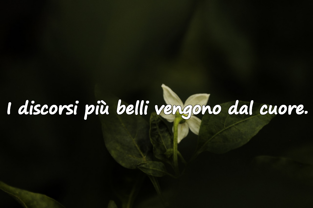 I discorsi più belli vengono dal cuore.